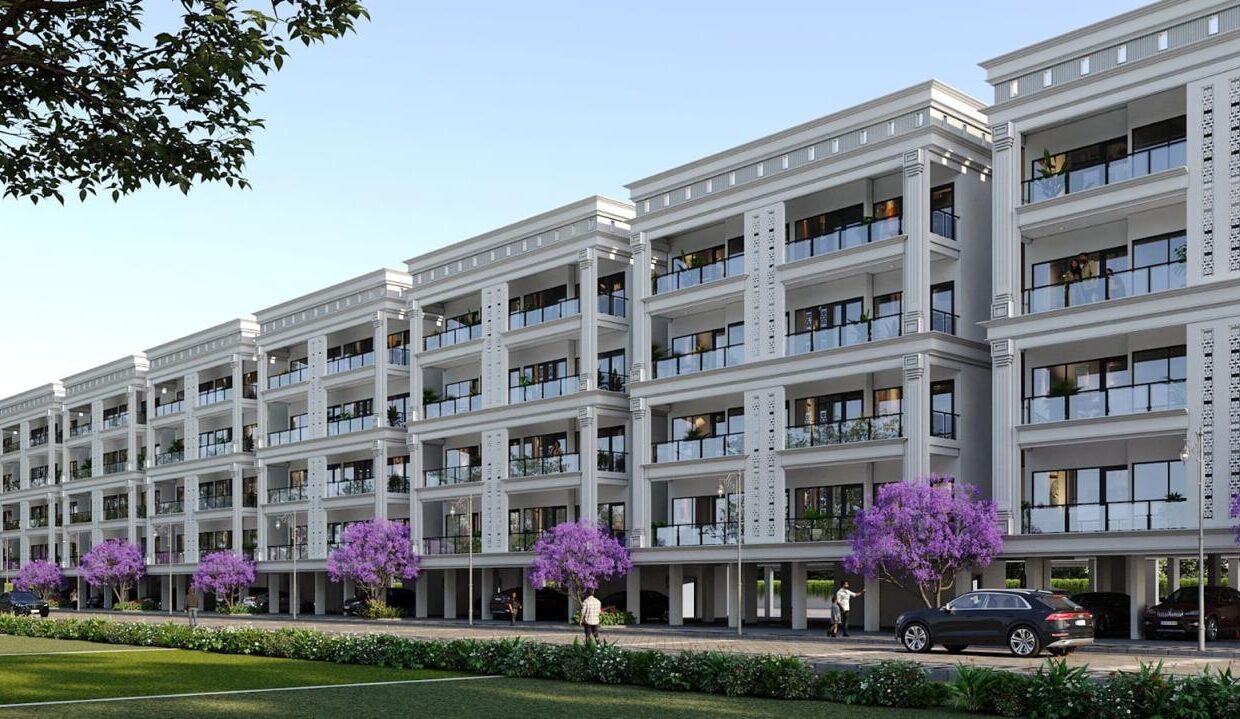 Whatsapp Image 2026-01-16 At 3.31.49 Pm