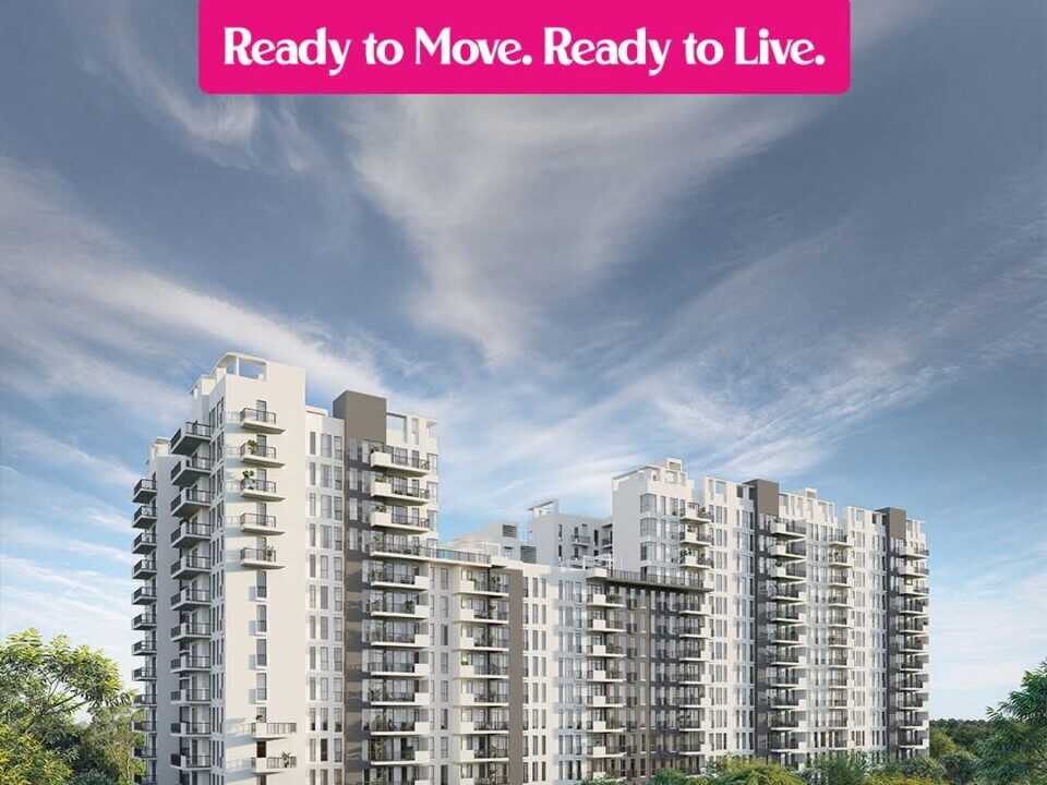 Whatsapp Image 2026-04-08 At 1.51.21 Pm